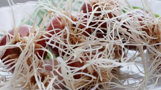 Biotechnology and bioengineering. Roots of mother plants to obtain meristems free of viruses, fungi, and bacteria. Microclonal propagation