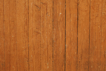 Fototapeta premium .Wood wall