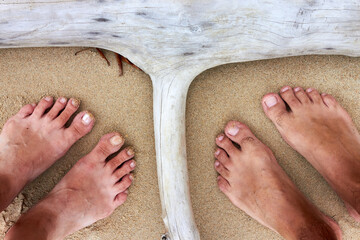 Male and female bare feet in the sand near the snags on the sand beach