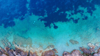 Coral reef in the sea