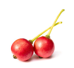 fresh Muntingia calabura fruits isolated on white background