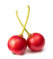 fresh Jamaica cherries isolated on the white background