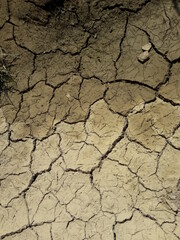 Terreno troppo arido, siccità e rischio desertificazione