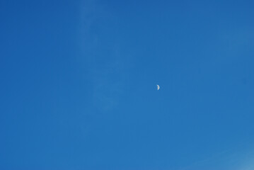 moon in the sky