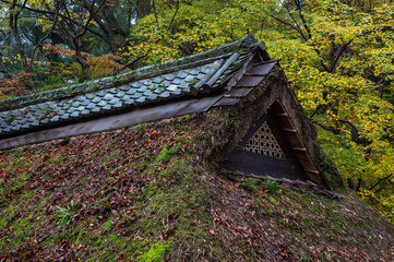 緑豊かな場所の和風建築