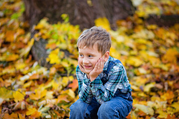 Large portrait of a boy in the open air. Cute boy walking in the autumn Park. The child looks at the camera with a smile.