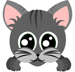 Raw striped kitten. Domestic cat. Pet Muzzle with big green eyes. Design for pet shop, veterinary clinic and shelter.