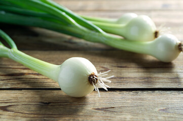 young fresh green onions.