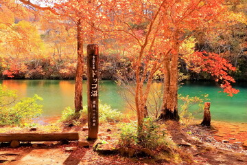 紅葉の山形蔵王ドッコ沼