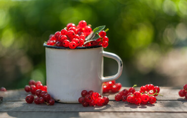 red berries in a cup