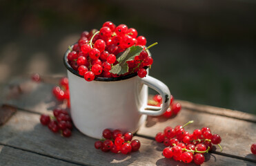 red currants in a cup