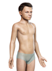 Obraz premium 3d rendered illustration of the young boy body