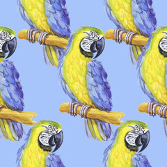 tropical parrot watercolor silhouette tropical bird isolate object blue background