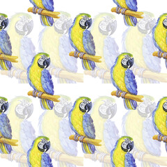 tropical parrot watercolor silhouette tropical bird isolate object white background