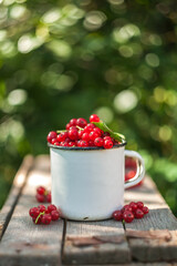 red currants on a wooden table