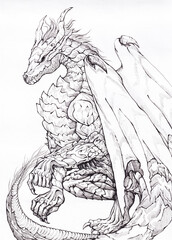 Fototapeta premium ręcznie rysowane smok