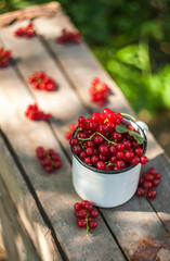 red currants on a wooden table