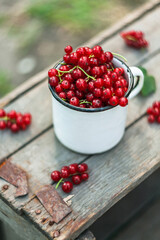 red currants on a wooden table
