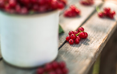 red currants on a wooden table