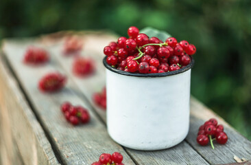 red currant in a cup 