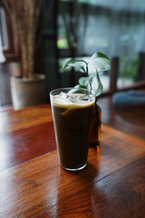 Close up glass of Iced Hojicha, Roasted Japanese green tea on wooden table