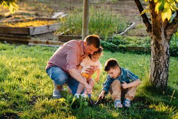 Fototapeta premium Little brother and sister are planting seedlings with their father in a beautiful spring garden at sunset. New life. Save the environment. Careful attitude to the surrounding world and nature