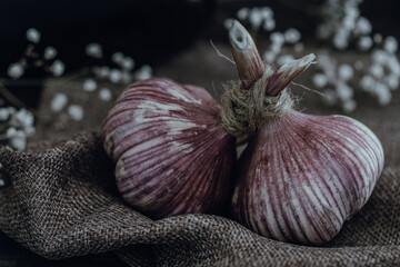 A tied pair of garlic heads nestled on a burlap rag