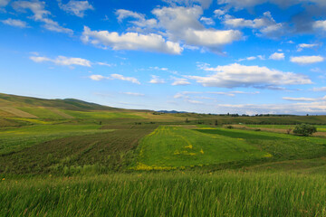 Beautiful spring and summer landscape. Lush green hills. Spring blooming herbs.