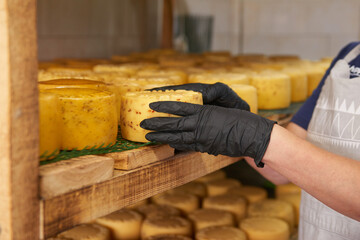 Rustic gourmet cheese in hands of cheese maker, close up. Spicy seasoning hand made cheese.