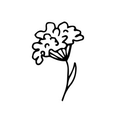 Simple cute cartoon flower on a stalk isolated on a white background. Vector sketch in black outline. For prints, logo, sticker.