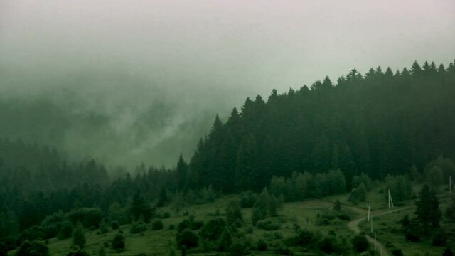 a landscape of the spruce forest at carpathian mountains, national park Skolivski beskidy, Lviv region of Western Ukraine