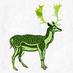 Deer vector hand drawn watercolor styled. Vector image