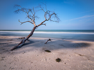 Strand © Michael
