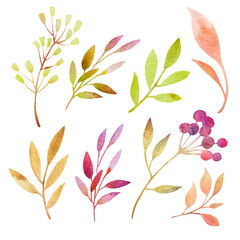 Watercolor set of multicolored twigs, leaves, herbs. Isolated from white background