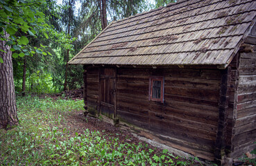Fototapeta na wymiar A hut in forest, old hut and vintage hut.