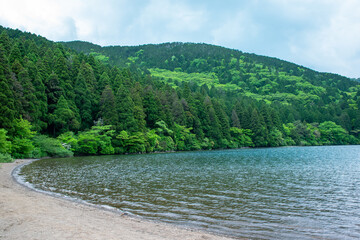 芦ノ湖　箱根やすらぎの森　白浜