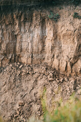 Nests of birds in a sandy rock