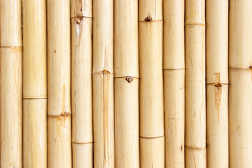 bamboo fence background