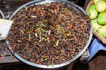 insects as food © markrhiggins