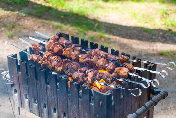 Meat skewer, grilled in a barbecue, shashlik or shashlyk for a picnic