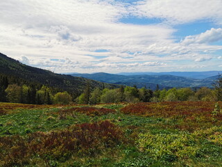 Spring landscape of the Zywiec Beskids