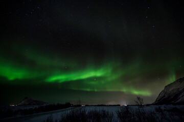 Fototapeta na wymiar Polarlicht über den Lofoten im Winter
