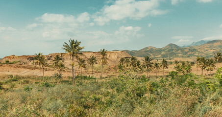 landscape with palm trees, valleys, and  mountains