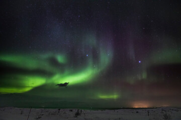 Polarlicht über den Lofoten im Winter
