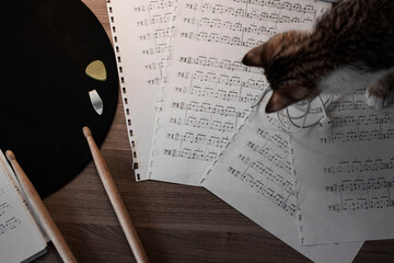 A composition with drumsticks, musical notes and a cat. Animals and music. The view from the top.