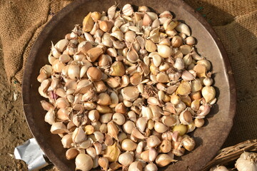 Vegetables for sale at India.