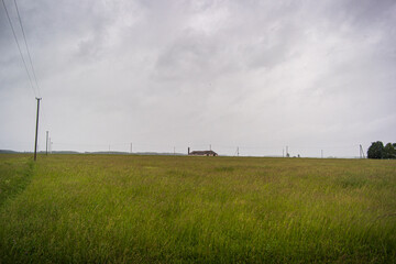 Fototapeta na wymiar Stormy landscape view before the rain. Green wheat field