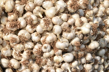 Vegetables for sale at India.