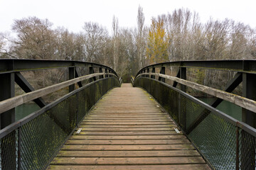 Puente simétrico que atraviesa un río del bosque