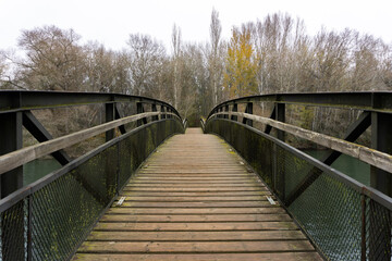 Fototapeta premium Puente simétrico que atraviesa un río del bosque